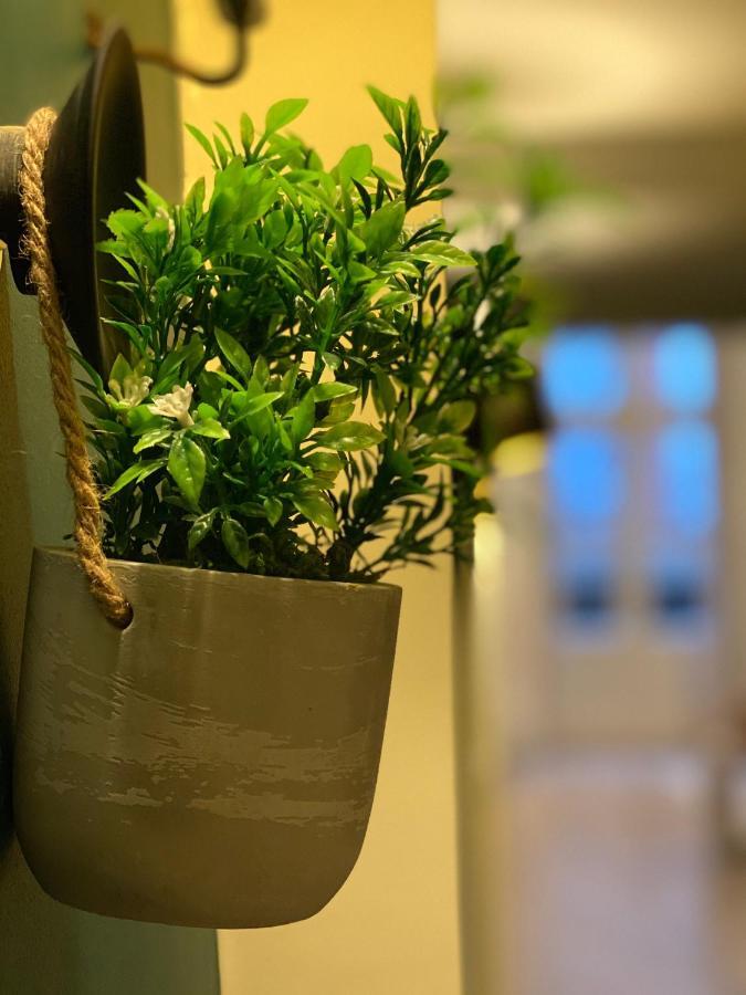 蒙托邦La Parenthese Gourmande Avec Clim Et Parking公寓 外观 照片